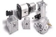 CASAPPA gear pump PLP10.6,3D0-81E1-LGC/GC-N-EE CASAPPA gear pump PLP10.6,3D0-81E1-LGC/GC-N-EE