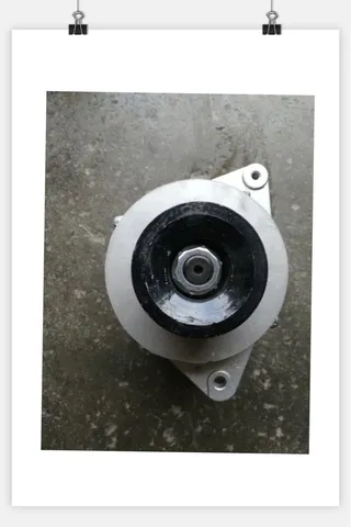 Dragon Gong Loading Machine Foot Car Generator Chai G6135 generator JFZ2811Y/G11-102-04 generator Dragon Gong Loading Machine Foot Car Generator Chai G6135 generator JFZ2811Y/G11-102-04 generator