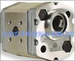 Italian Marzocchi Matsuchen gear pump 1PD3.3GAS