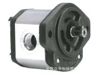Marzocchi gear pump GHP2A-D-13-FG Italy Mazuci gear pump Marzocchi gear pump GHP2A-D-13-FG Italy Mazuci gear pump