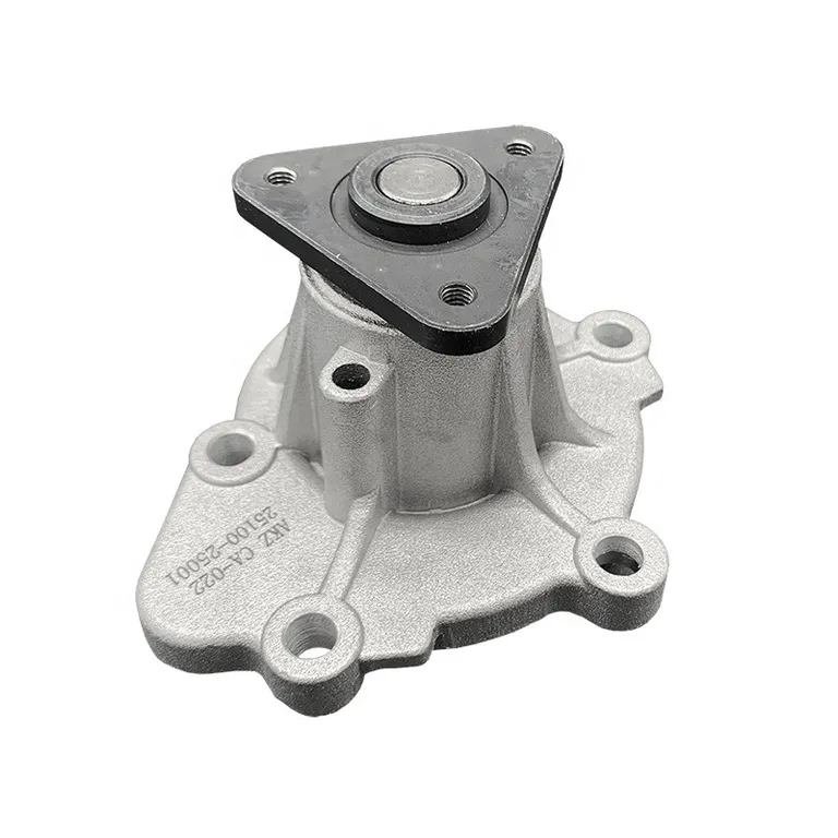 Auto water pump for 25100-25002 42144, 1312331, 5573154 online Auto water pump for 25100-25002 42144, 1312331, 5573154 online