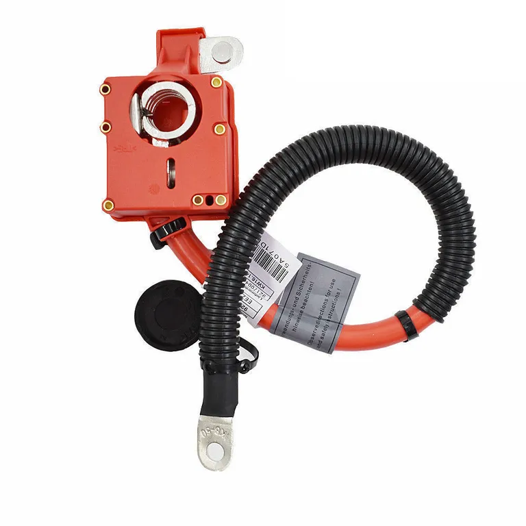 for BMW X5 X6 -E70 battery power cord 61139203570 61129217004 online for BMW X5 X6 -E70 battery power cord 61139203570 61129217004 online