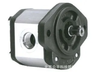 Marzocchi gear pump GHP2A-D-13-FG Italy Mazuci gear pump online Marzocchi gear pump GHP2A-D-13-FG Italy Mazuci gear pump online