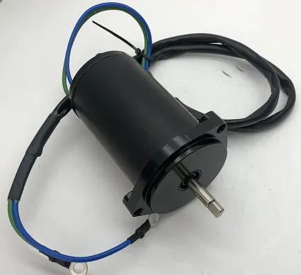 Siller and fine-tuning motor for YAMAHAF50 and F60 2005-2009 6C5-43880-01-00 online Siller and fine-tuning motor for YAMAHAF50 and F60 2005-2009 6C5-43880-01-00 online